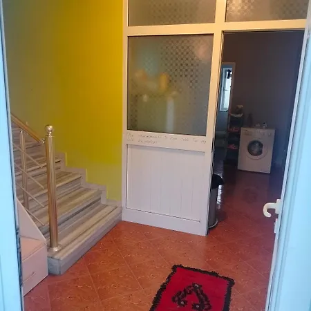 Hostel Backpackers